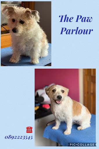The Paw Parlour Dog Grooming Roscrea listing image