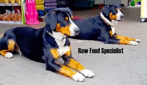 The Pet Parlour - Delivery Nationwide listing image