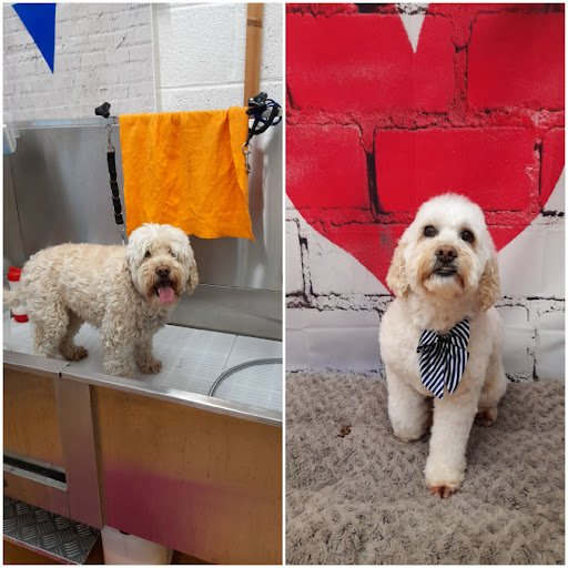 Val's Dog Grooming Studio listing image