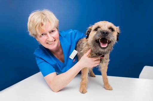 Village Vets Dunshaughlin listing image