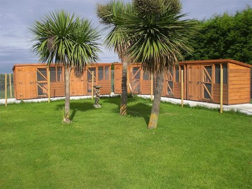 Waggy Tails Boarding Kennels listing image