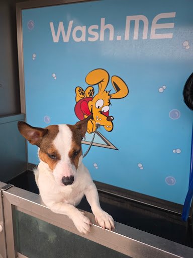 Wash.me Dog Wash - Dublin listing image