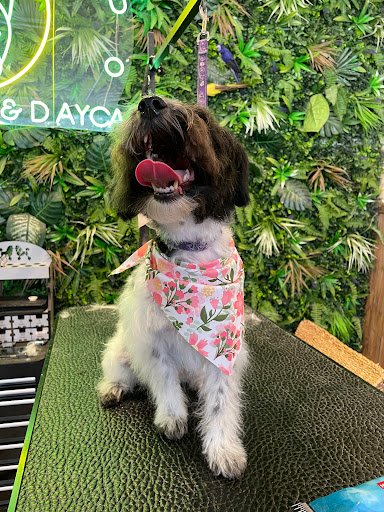 What the Pup - Pet Groomers & Daycare listing image