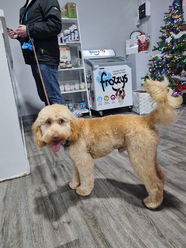 Woof N Ready Pet Shop & Groomers listing image