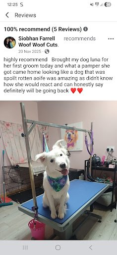 Woof Woof Cuts Dog Grooming Salon listing image